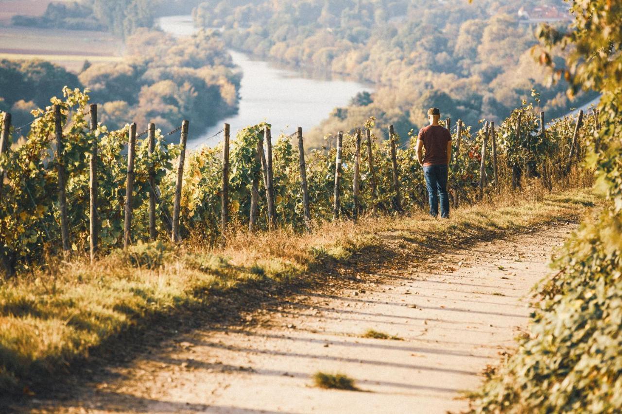 Weingut Pastoriushaus - Artur Steinmann Hotell Sommerhausen Eksteriør bilde